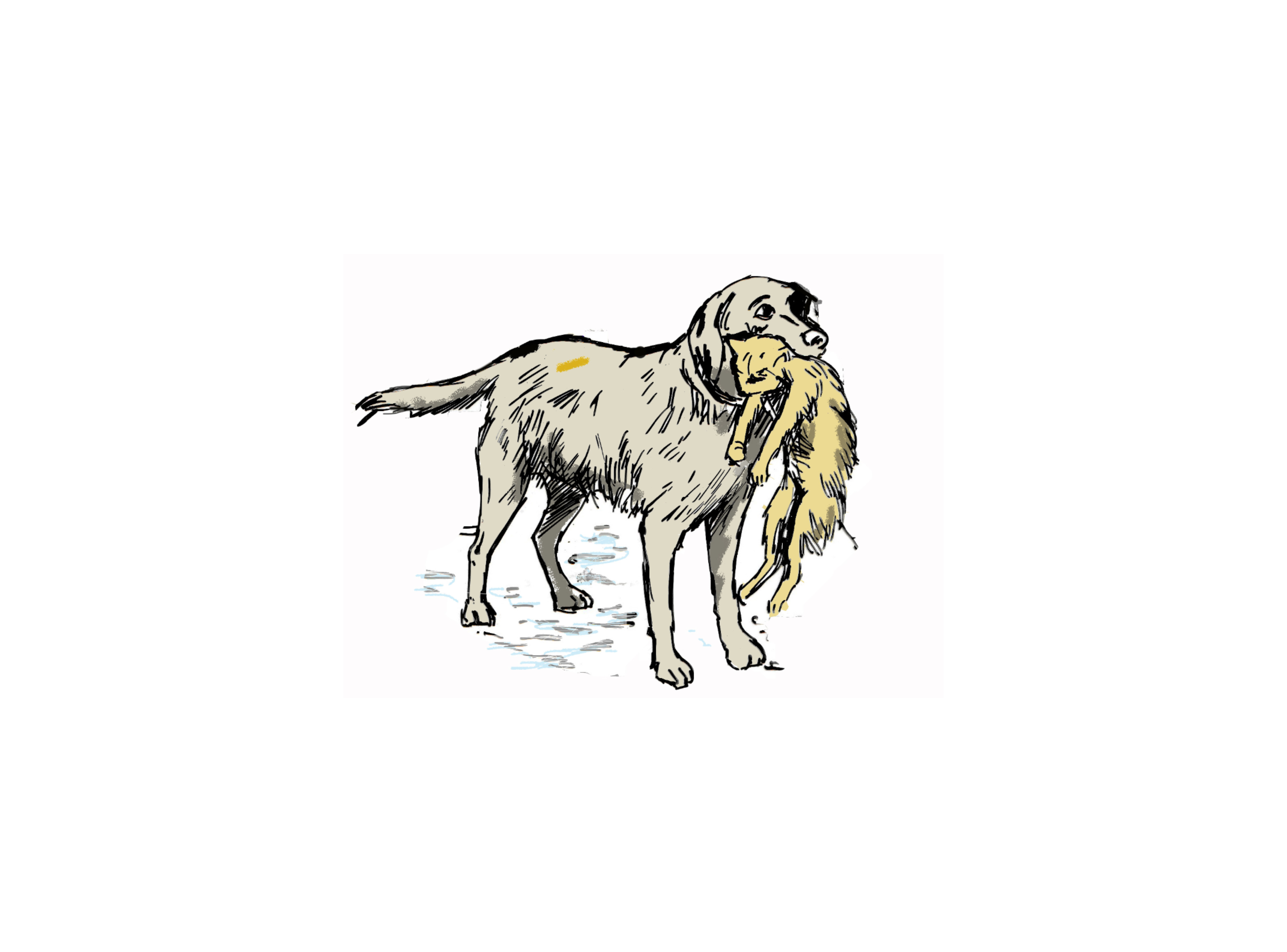 <h1 style="text-align: center;" class=""><font style=""><strong>BONNIE</strong></font></h1>